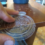 Poking holes in plastic lid with safety pin